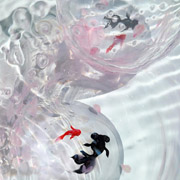 smallimage